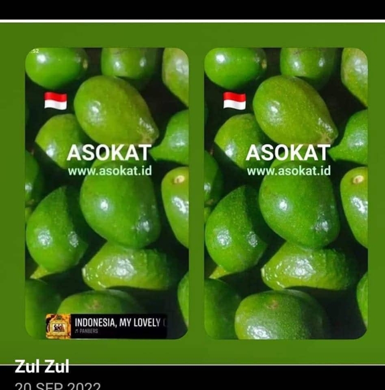 ASOKAT