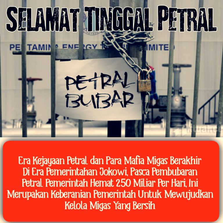 petral 1 768x768