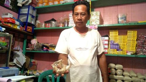 sarang burung walet 20180118 224320